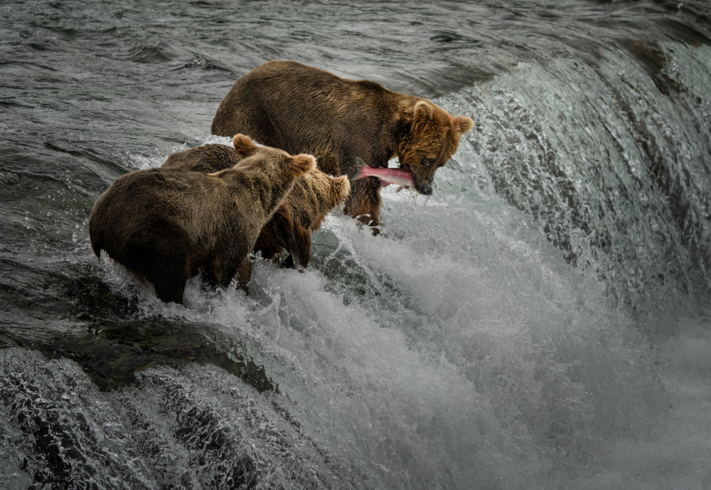 Caught one von Yuan Su