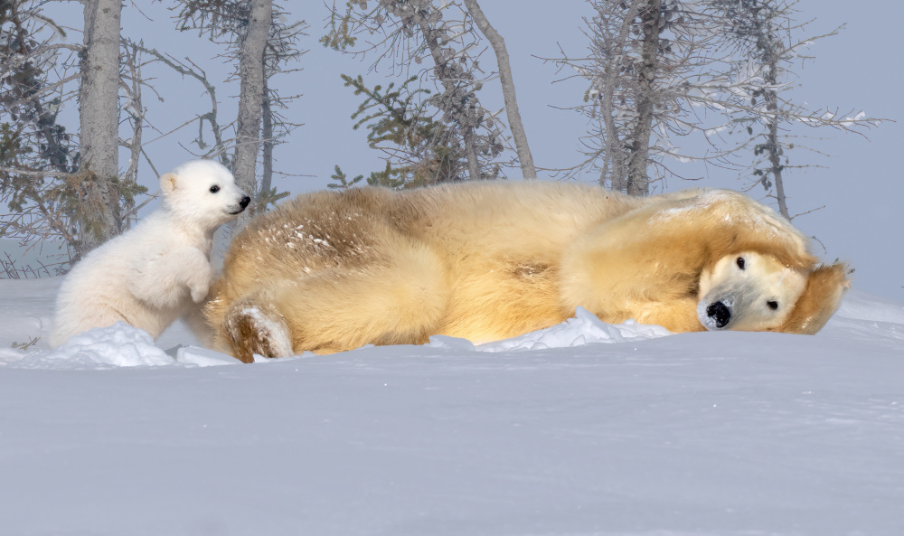 Mom, get up von Yuan Su