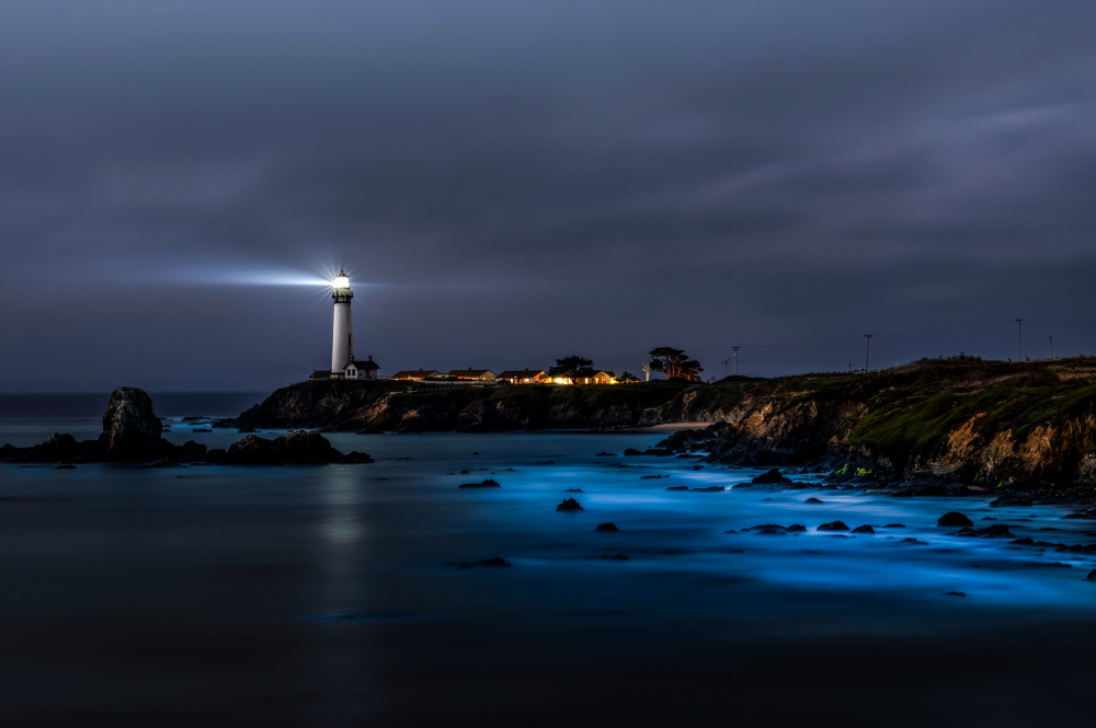 Summer Night by the Ocean von Yue Wu