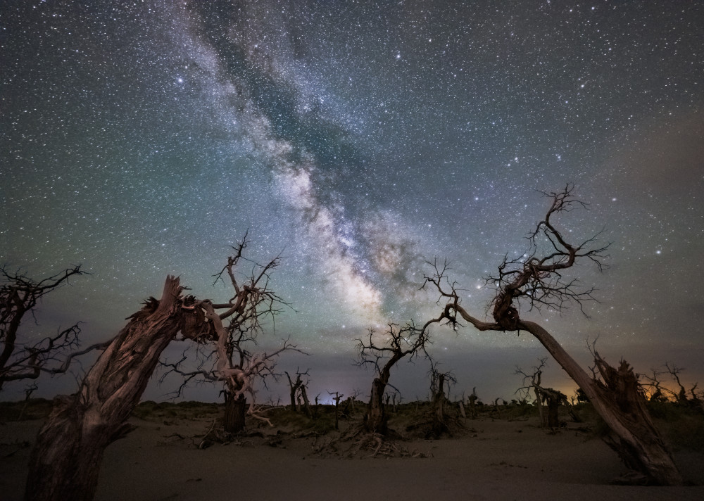 Galaxy over a dead forest von Yuhan Liao