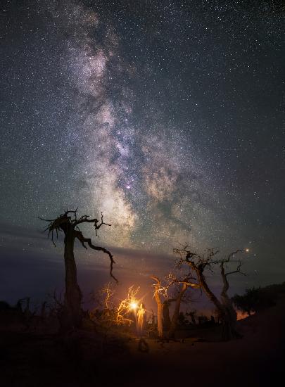 Under the milkyway