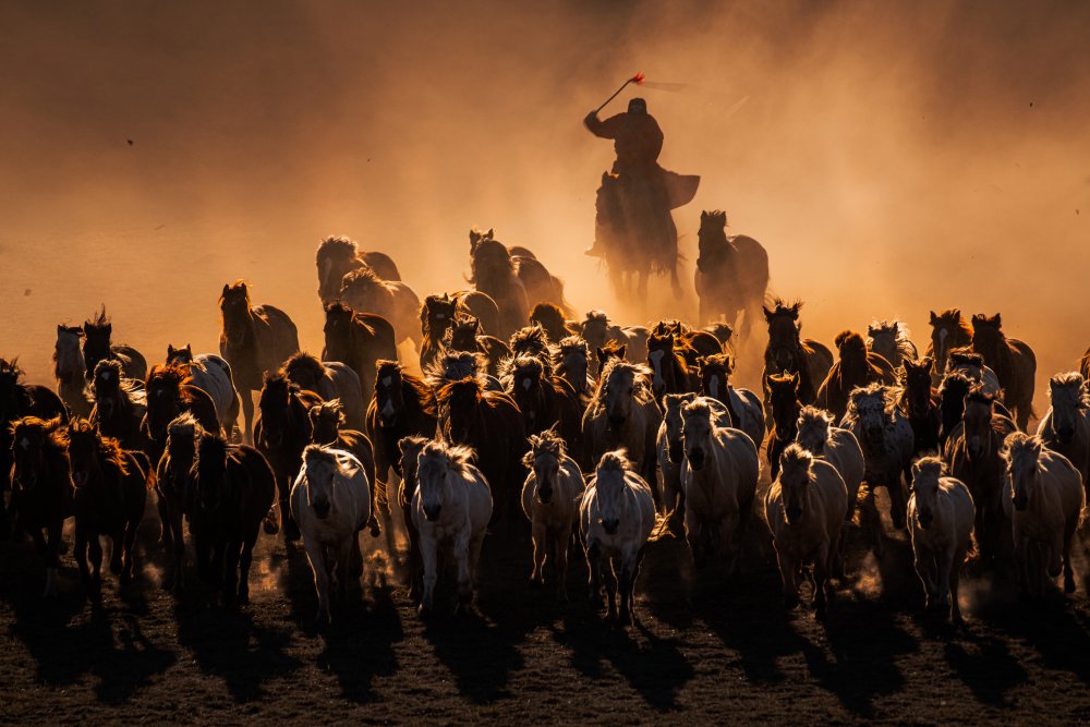 	 Ten thousand steeds gallop von Yuhan Liao