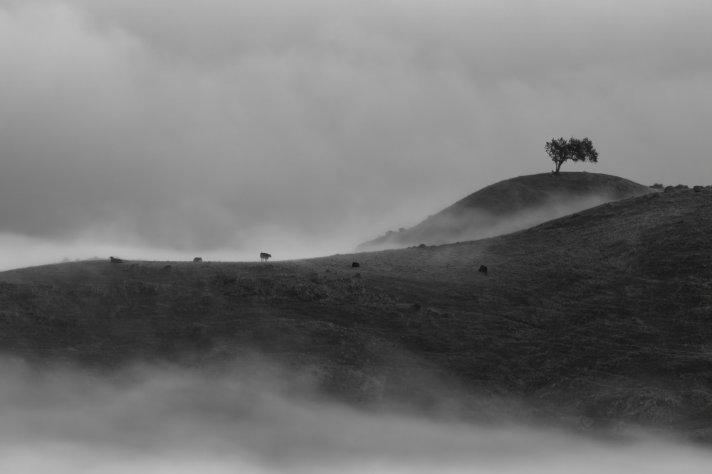 Good morning Mission Peak von Yun Mao