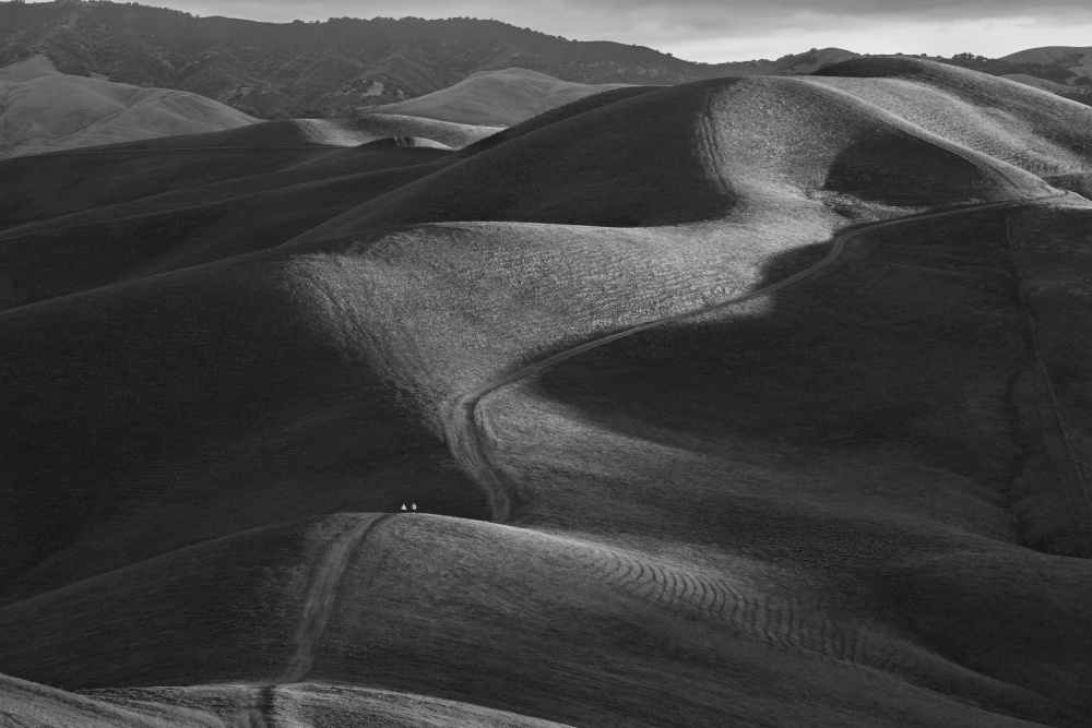 Rolling Hills von Yun Mao