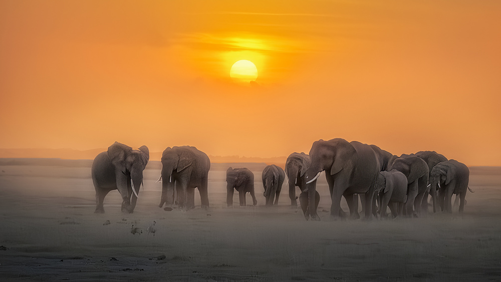 Good Morning, Africa von Yun Thwaits