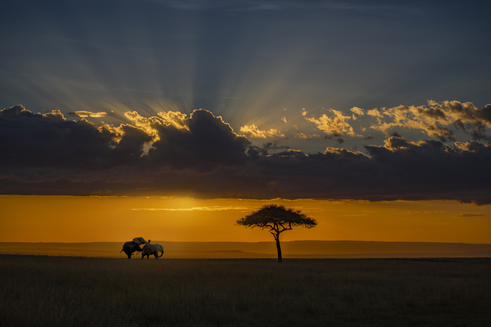 Sunset in Masai Mara von Yun Thwaits