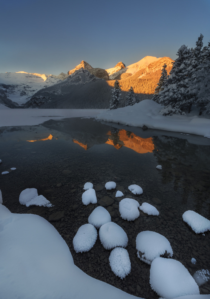 GOLDEN MORNING IN SNOW von Yun Wang