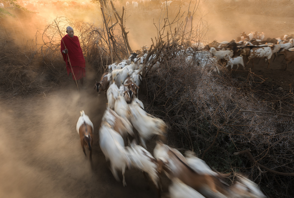 Masai village morning von Yun Wang