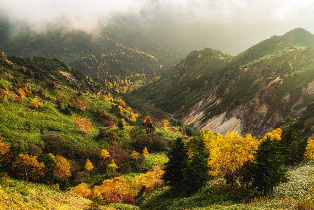 Alpine autumn. von Yuusuke Hisamitsu