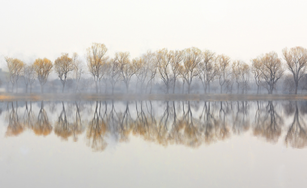 Reflection von Yuzheng Ren