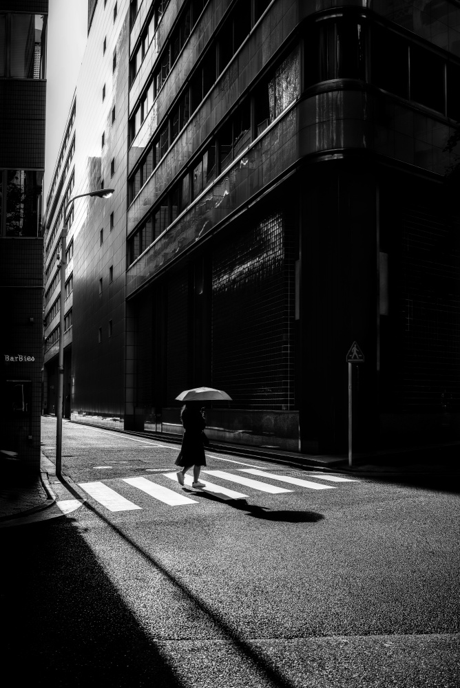 The Spotlight von Yuzo Fujii