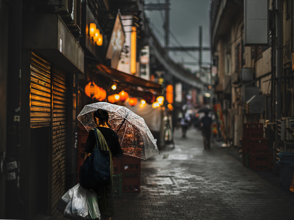 Ueno Curve von Yuzo Fujii