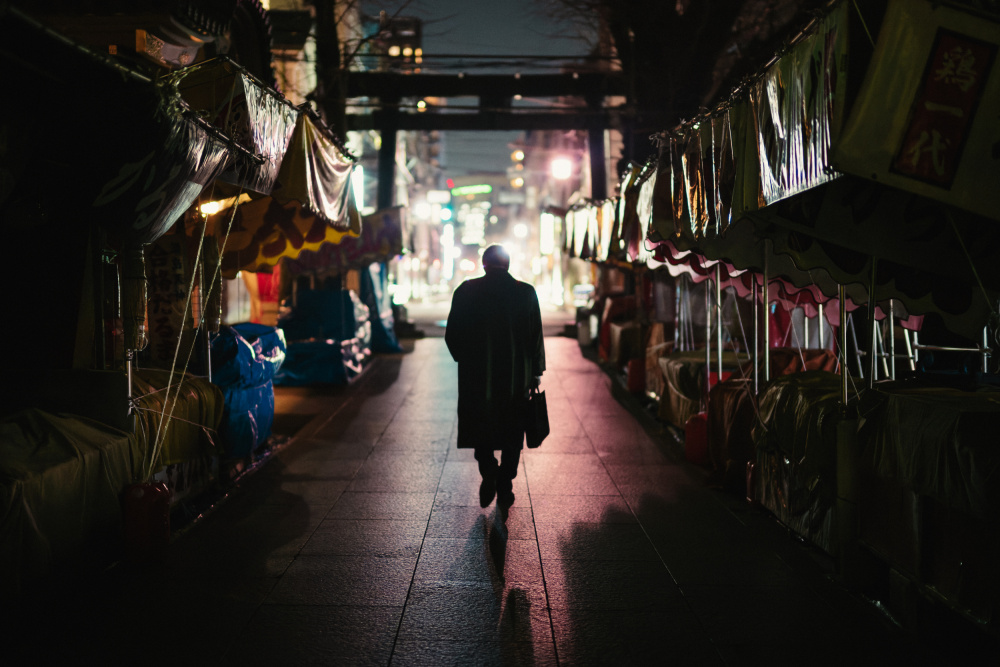 Yushima Alley von Yuzo Fujii