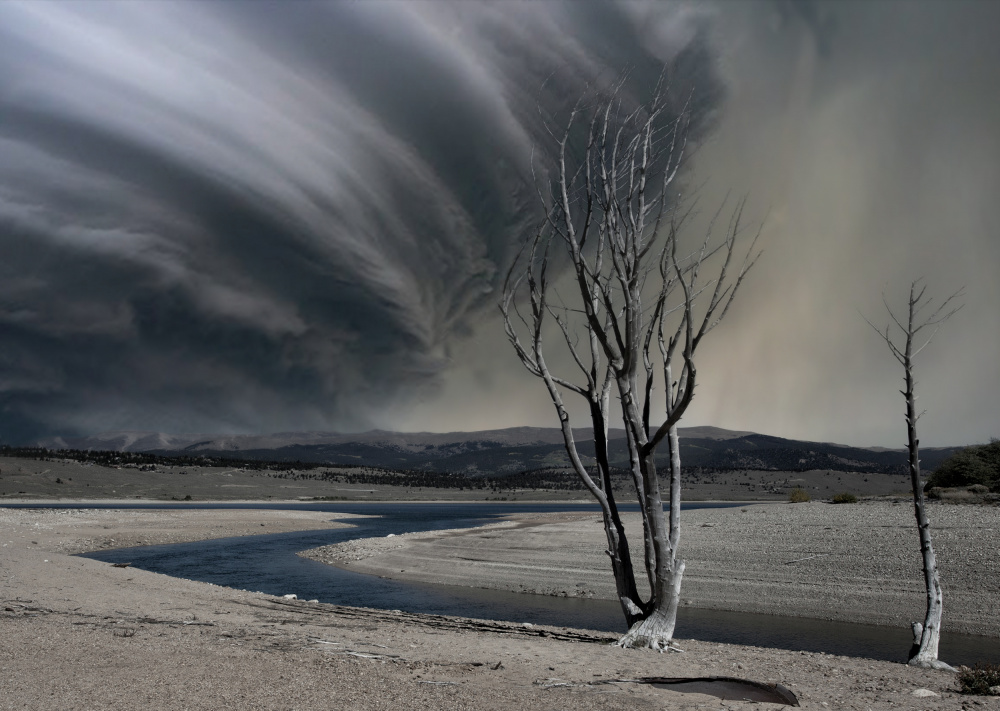 Thirsty land von Yvette Depaepe