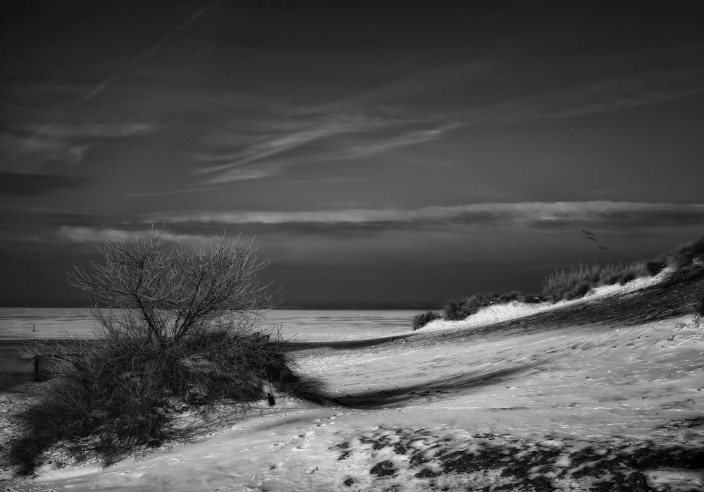 Solitary snowy winter beach von Yvette Depaepe