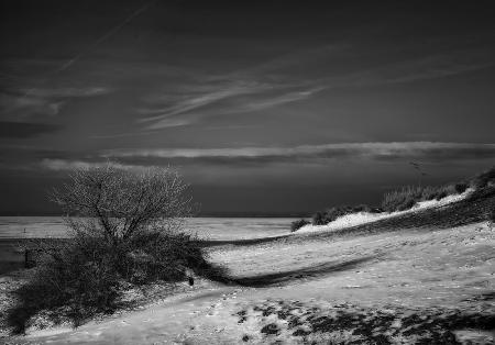 Solitary snowy winter beach