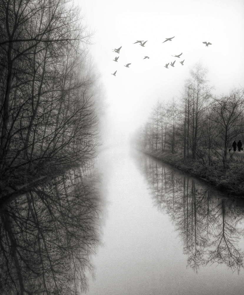 Beyond the fog lies clarity von Yvette Depaepe