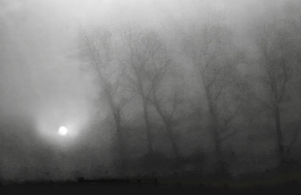 Across the morning mist, the light is pale von Yvette Depaepe