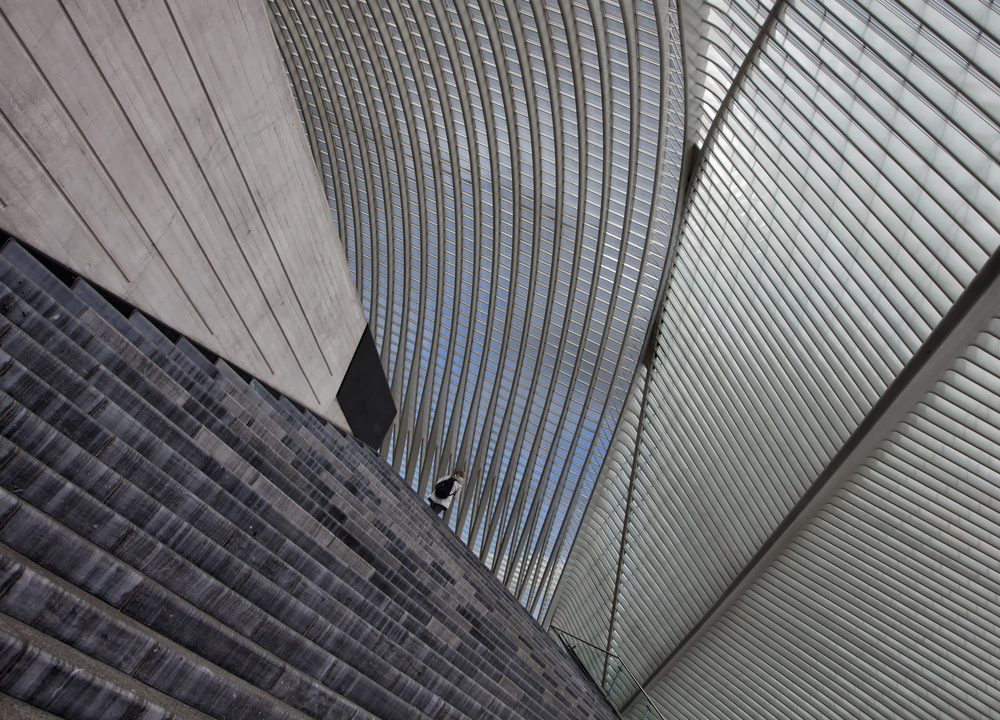 Liège-Guillemins von Yvette Depaepe