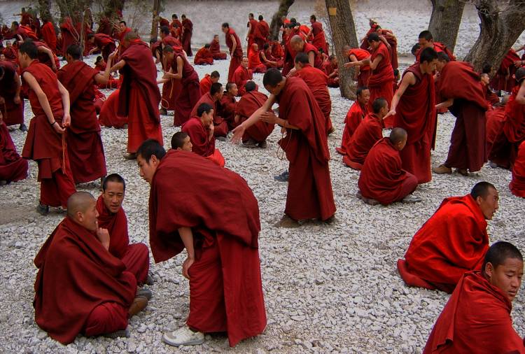 Monks debating von Yvette Depaepe