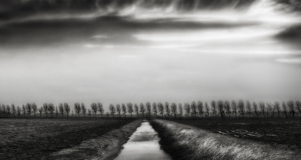 Polder beauty von Yvette Depaepe