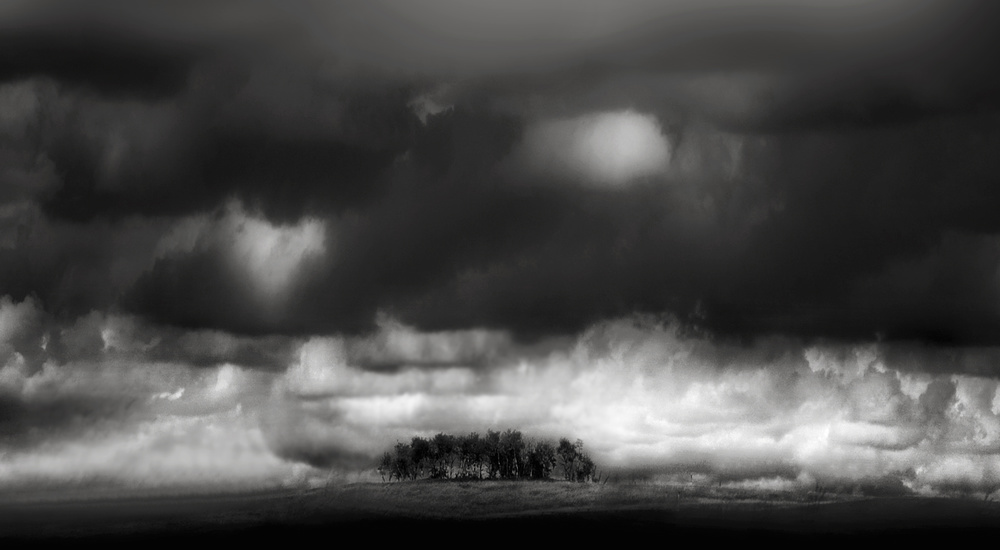 Silent trees hooded by resting clouds von Yvette Depaepe