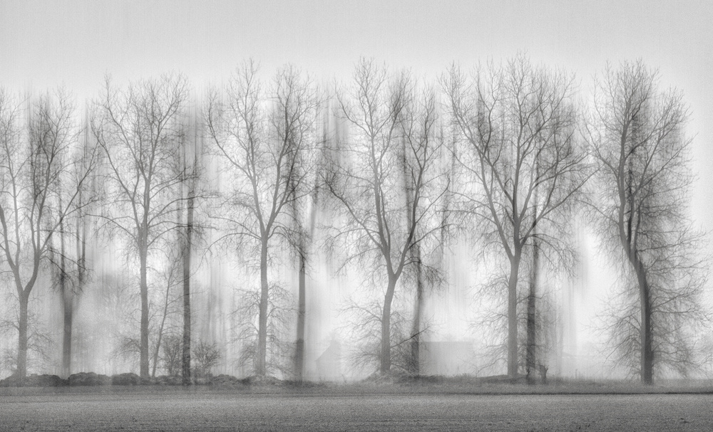 Sweet melancholy of fog von Yvette Depaepe