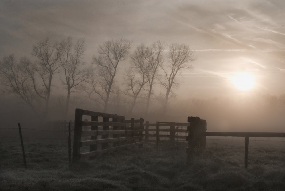 Hazy morning symphony von Yvette Depaepe