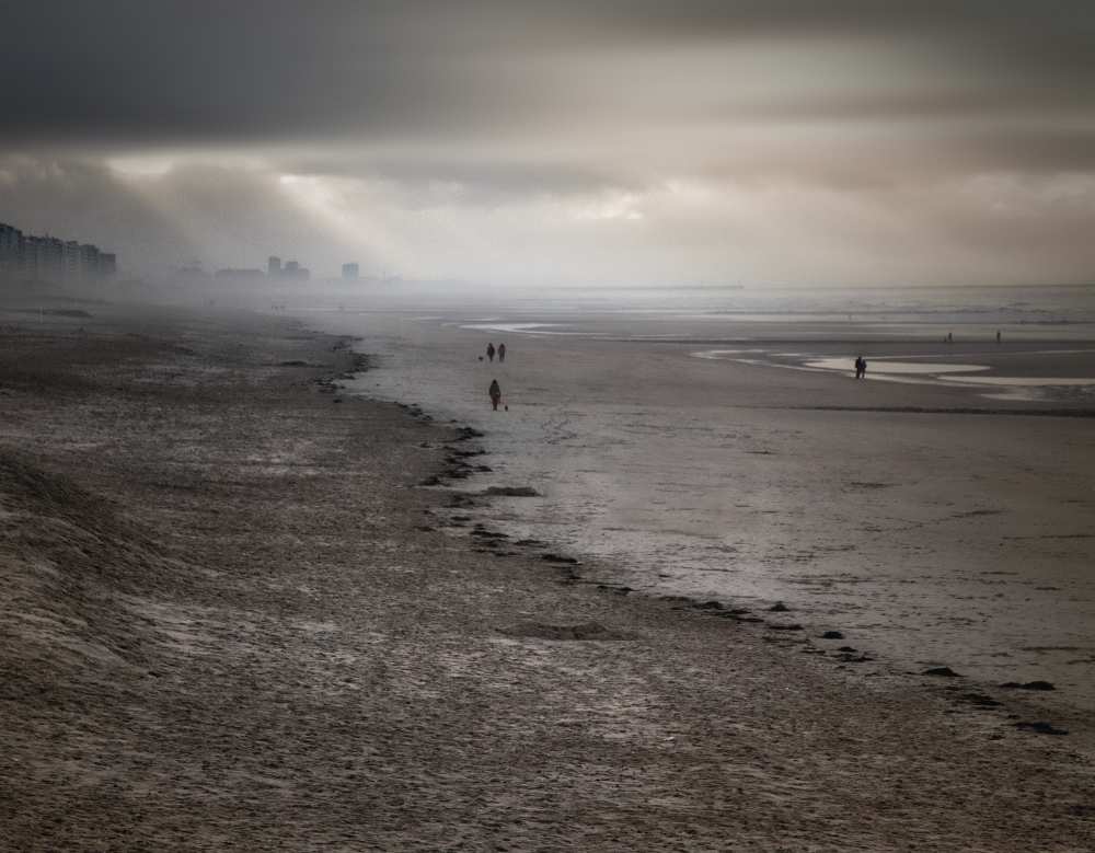 Weather the storm von Yvette Depaepe