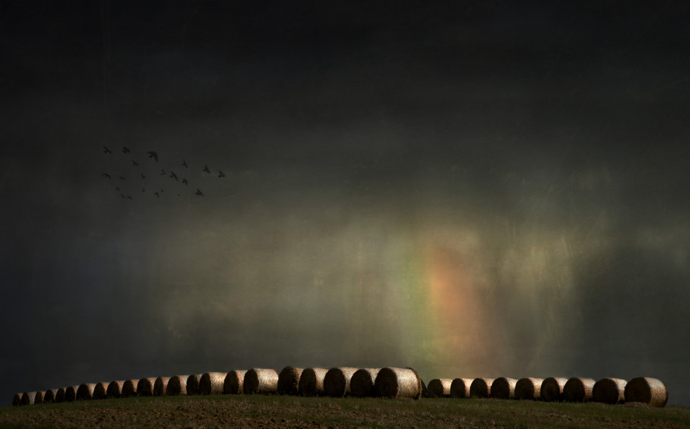 If you want the rainbow you gotta put up with the rain von Yvette Depaepe