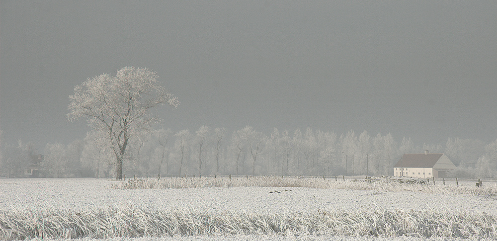 Winter Polderland... Winter Wonderland (2) von Yvette Depaepe