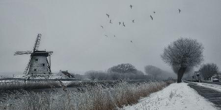 Winter etching