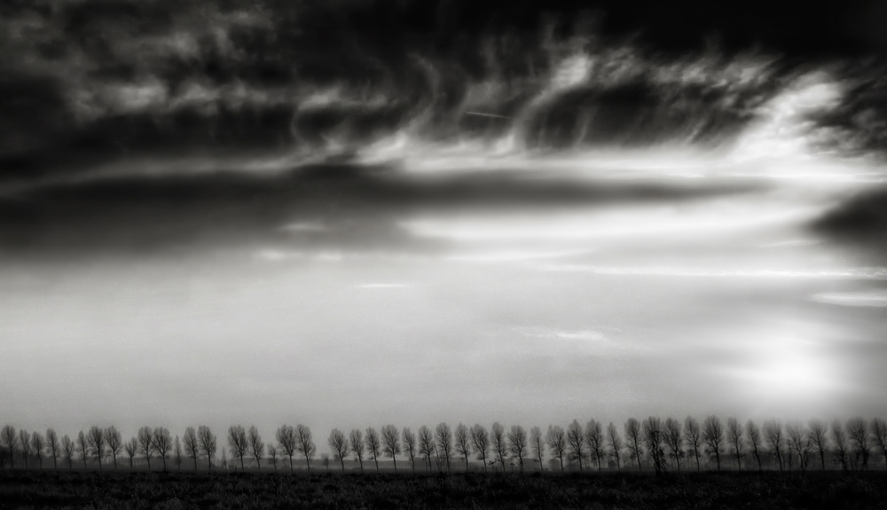 Clouds dancing with the trees... von Yvette Depaepe