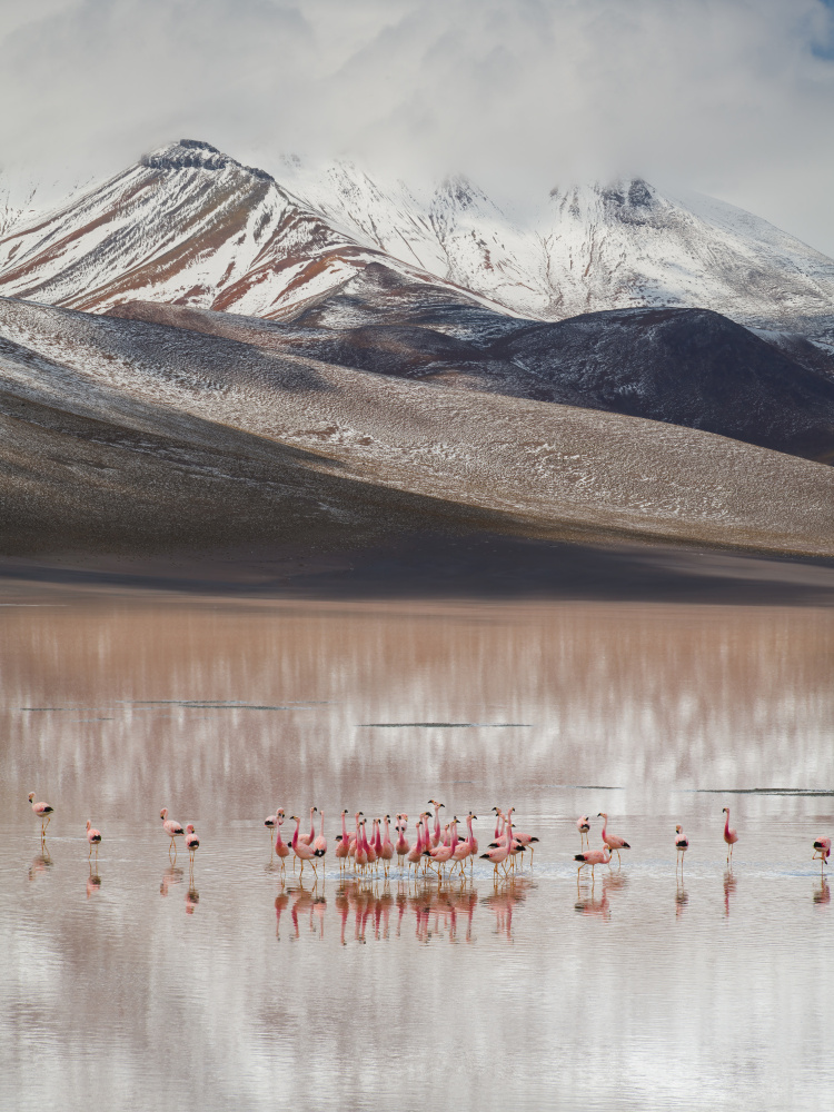 mountain view (Bolivia) von YY DB