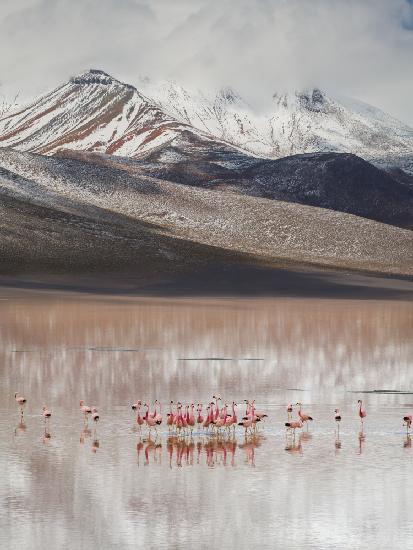 mountain view (Bolivia)