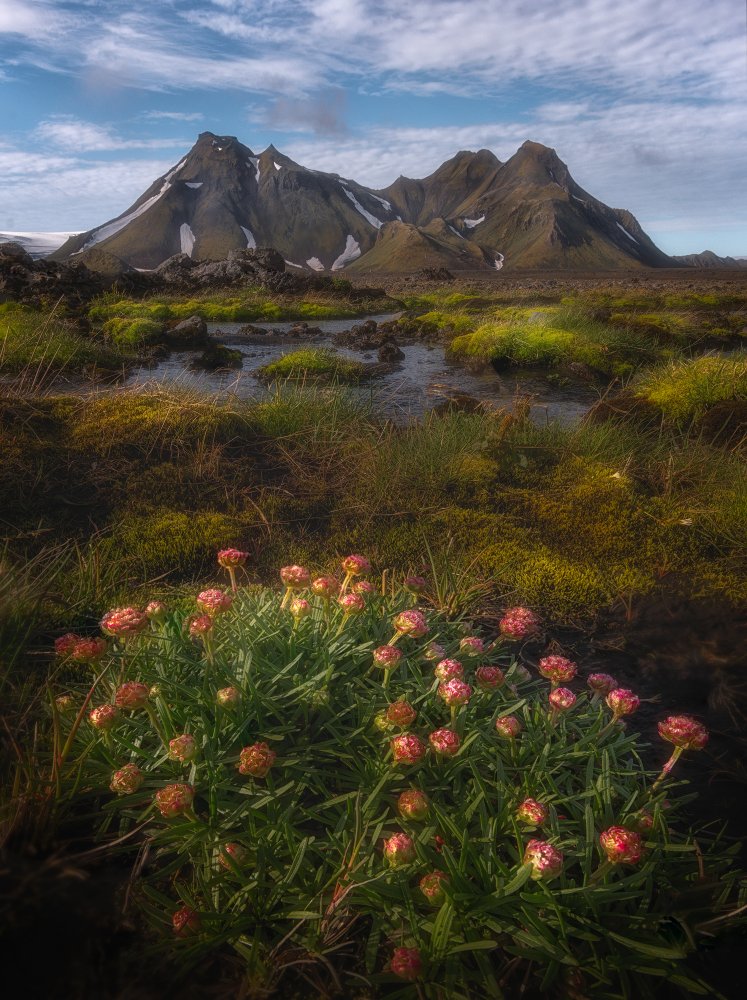 The Highlands of Iceland von YY DB