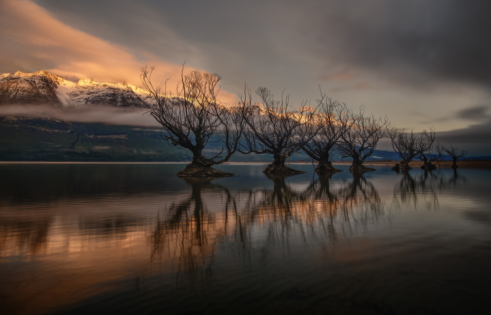 The Glenorchy Willow Trees von YY DB