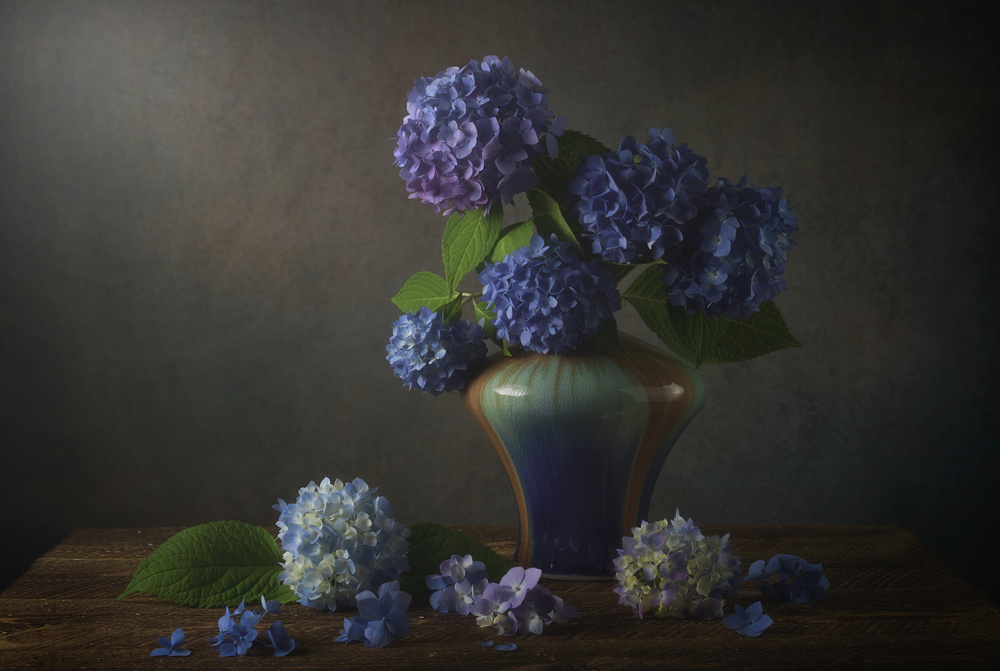 Hydrangea von YY DB