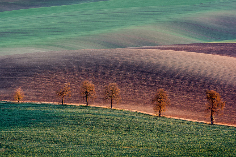 Moravian landscape von Zaiga Steina