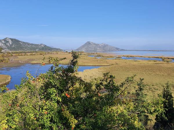 Blick auf den Nationalpark Skutarisee von zamart