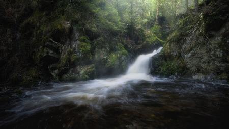 Hidden waterfall in the forest unveils its beauty