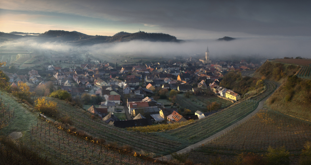 Foggy Kaiserstuhl von Zbyszek Nowak