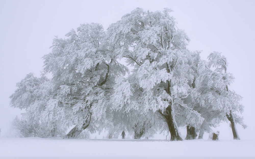 Winterland von Zbyszek Nowak