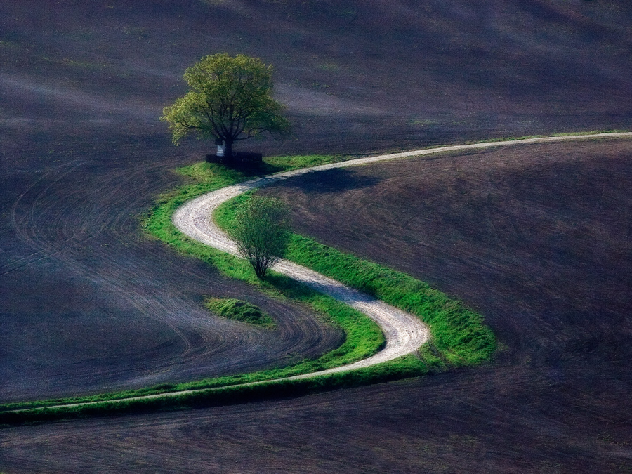 Field road von Zdeno Kostka