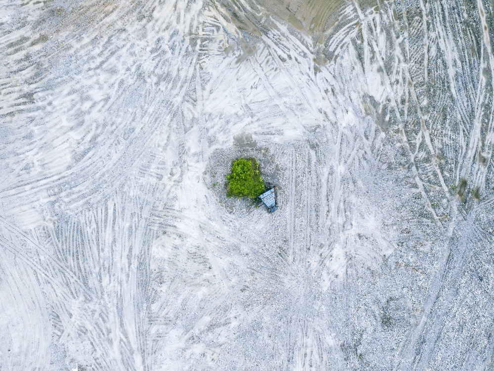 The last tree and trash can von Zhou Chengzhou