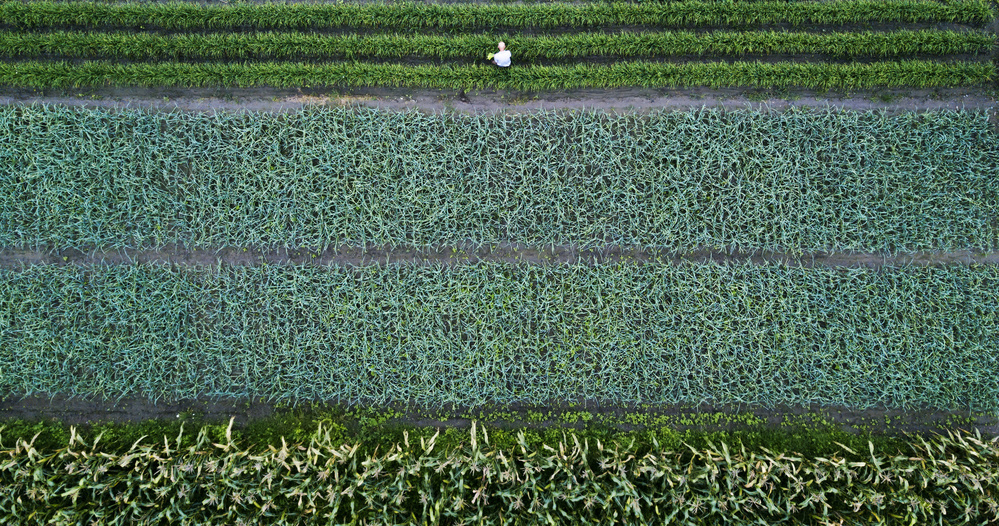 Food source von Zhou Chengzhou