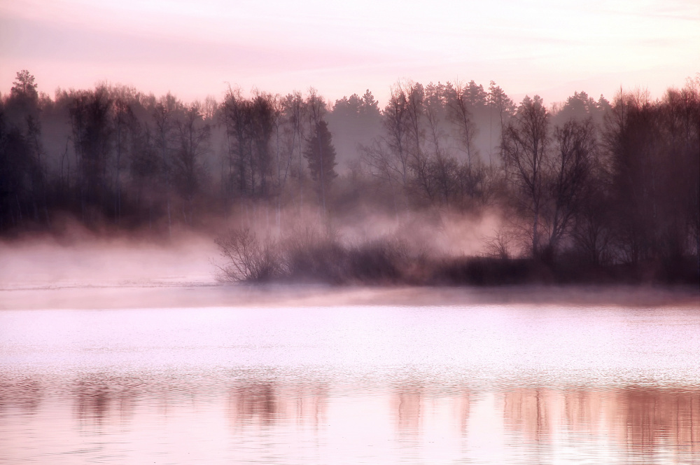 Silence von Zina Heg