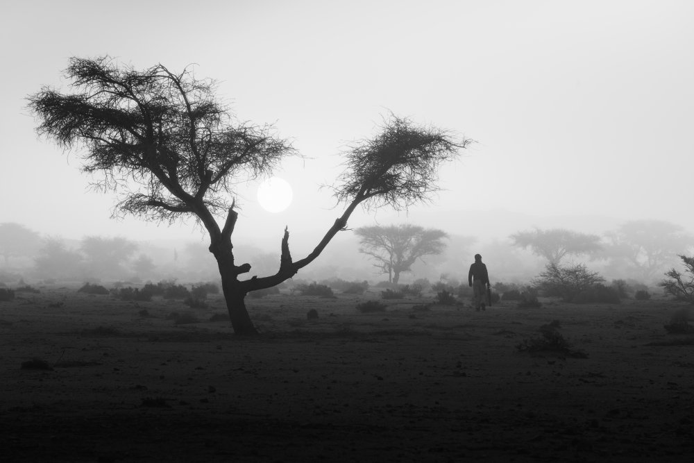 Lost in the fog von Zineddine Benidir