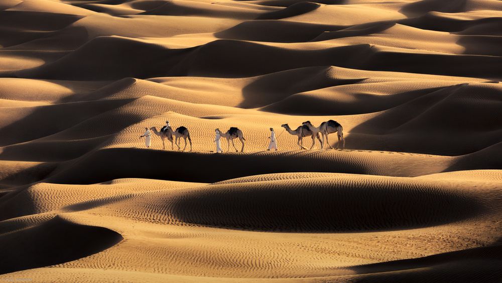 Life in the desert von Ziyad AL Maashari