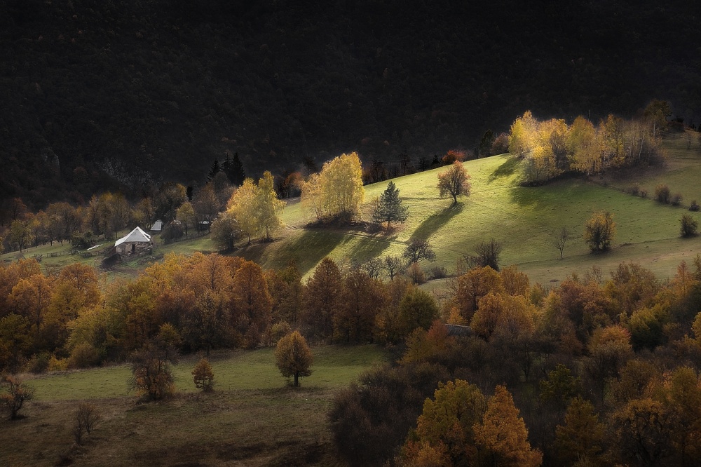 Green Hill von Zoran Milutinovic